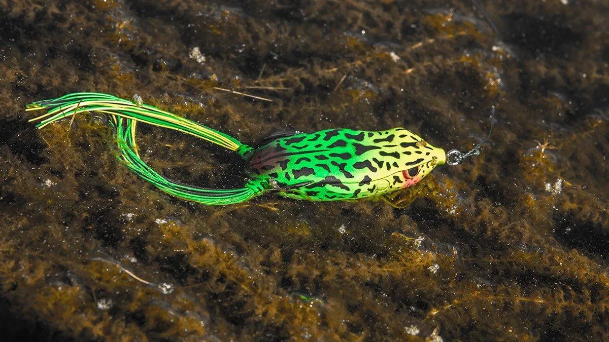 SPRO Bronzeye Frog 65 topwater lure for bass